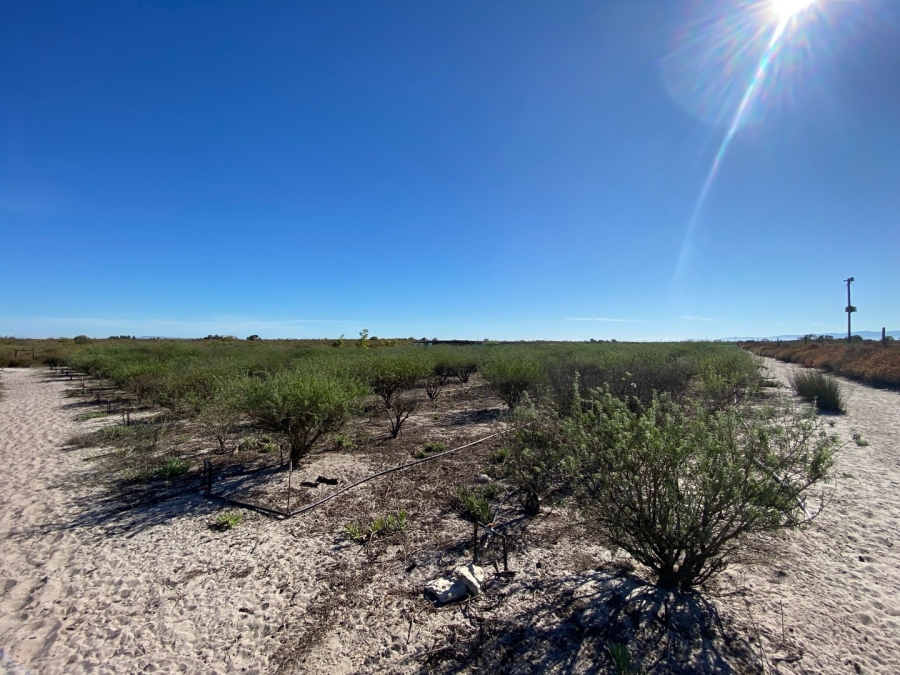 Commercial Property for Sale in Hartebeesfontein Western Cape